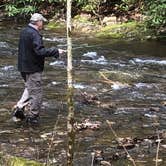 Review photo of Roan Mountain State Park Campground by Mac M., May 3, 2022