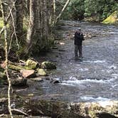 Review photo of Roan Mountain State Park Campground by Mac M., May 3, 2022