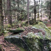 Review photo of Roan Mountain State Park Campground by Mac M., May 3, 2022