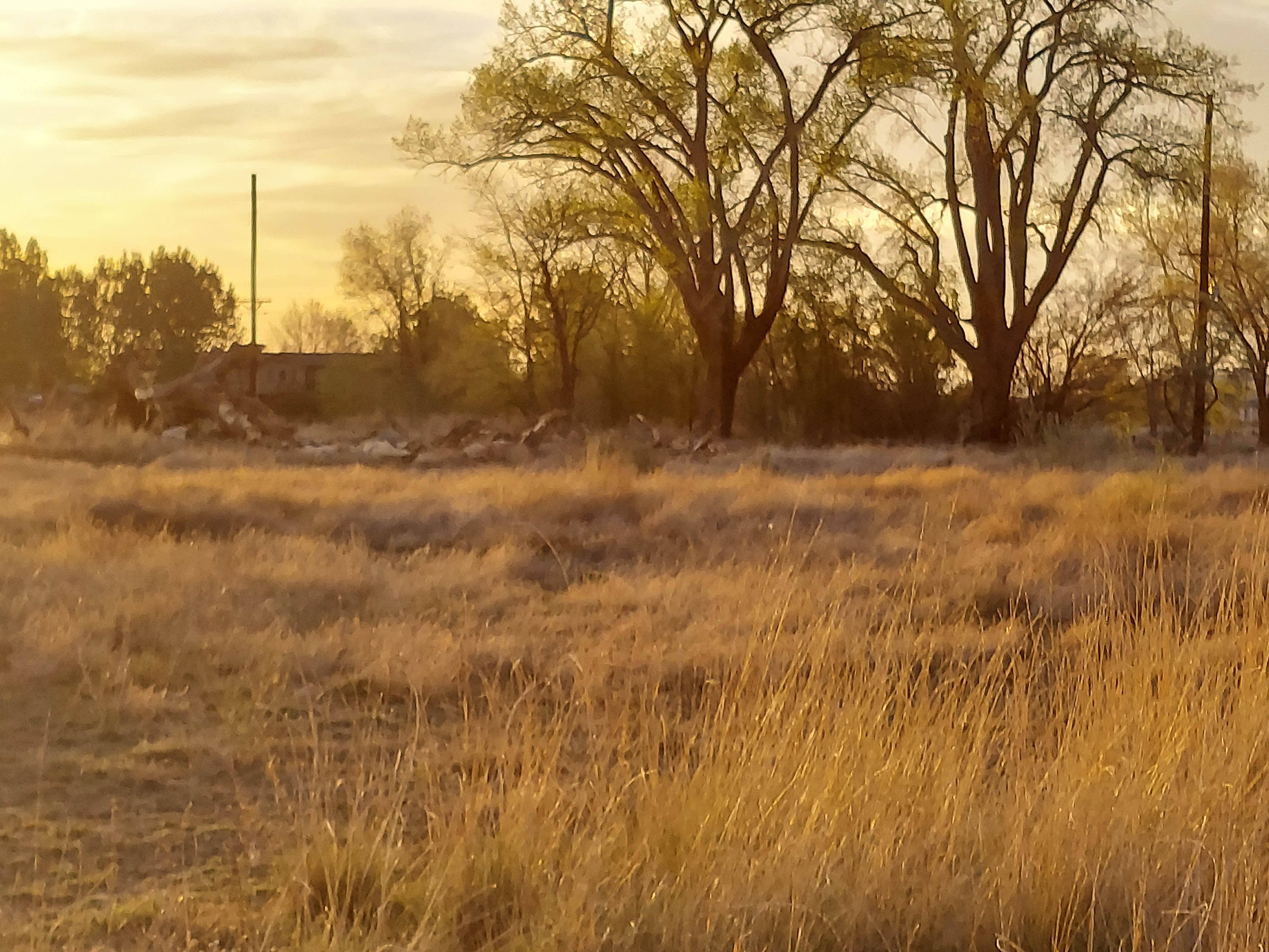 Camping near Oso Grande-Mesa view campsites: Zinger Farm - TEMPORARILY CLOSED, Grand Junction, Colorado