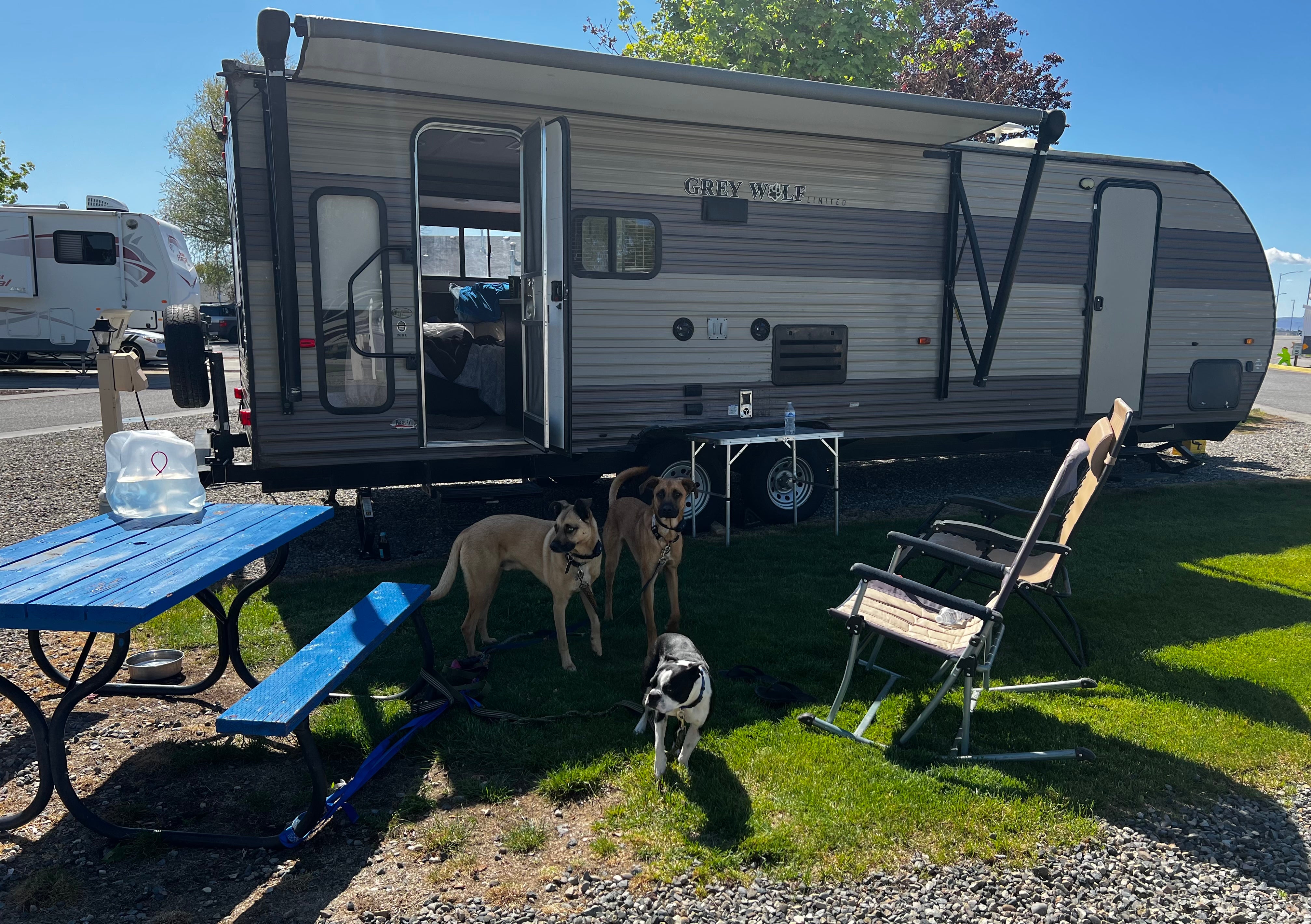 Camper submitted image from Pasco Tri-Cities KOA - 3