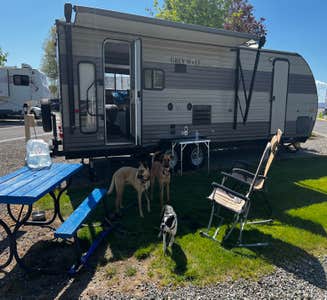 Camper-submitted photo from Pioneer RV Park