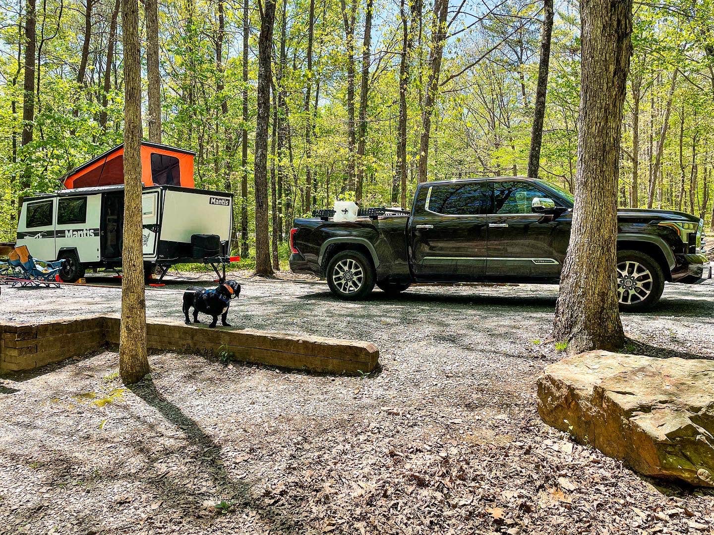 Anthony I.'s photo of camping with pets at Cloudland Canyon State Park Campground near Menlo, GA