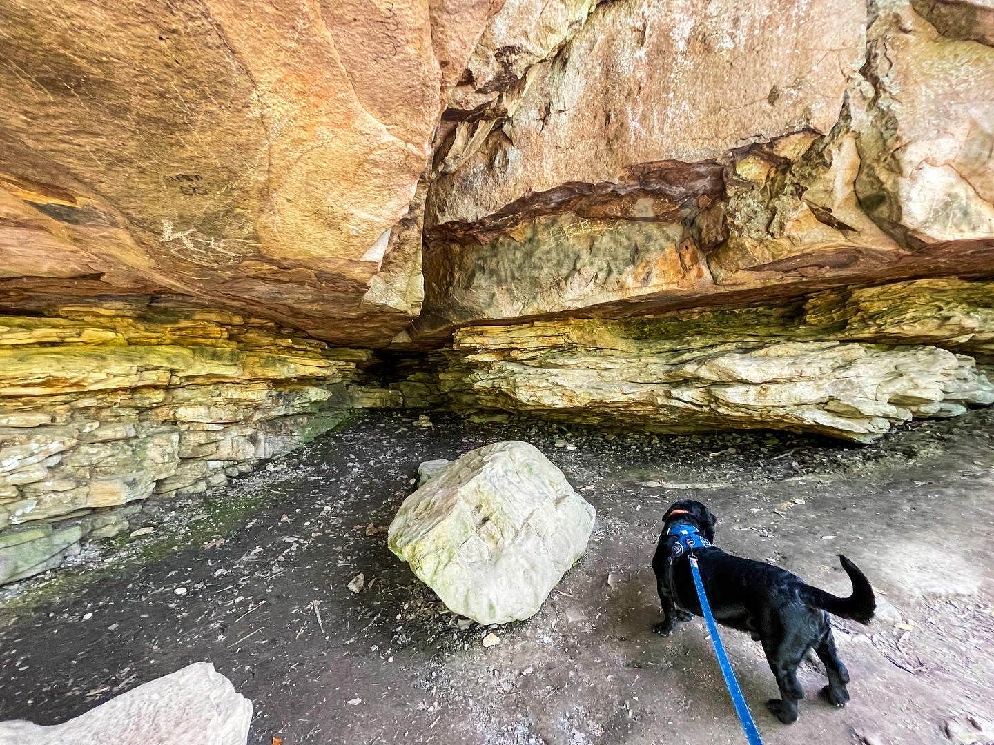 Anthony I.'s photo of camping with pets at Cloudland Canyon State Park Campground near Dunlap, TN