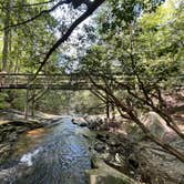 Review photo of West Rim - Cloudland Canyon State Park by Anthony I., May 3, 2022