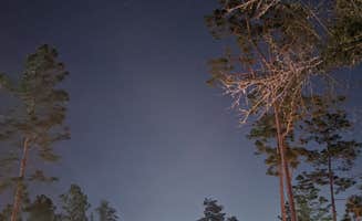Charles E.'s photo at Colt Creek State Park Campground near Lakeland, FL
