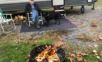 Mac M.'s photo of camping with pets at Davidson River Campground near Brevard, NC