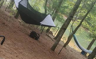 Brian B.'s photo at Canoe Landing Group Campsite — James River State Park in Virginia