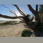 Review photo of North Beach Campground — Pismo State Beach by Andrew M., May 4, 2022