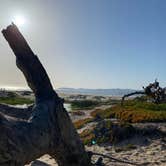 Review photo of Oceano County Campground — Pismo State Beach by Andrew M., May 4, 2022