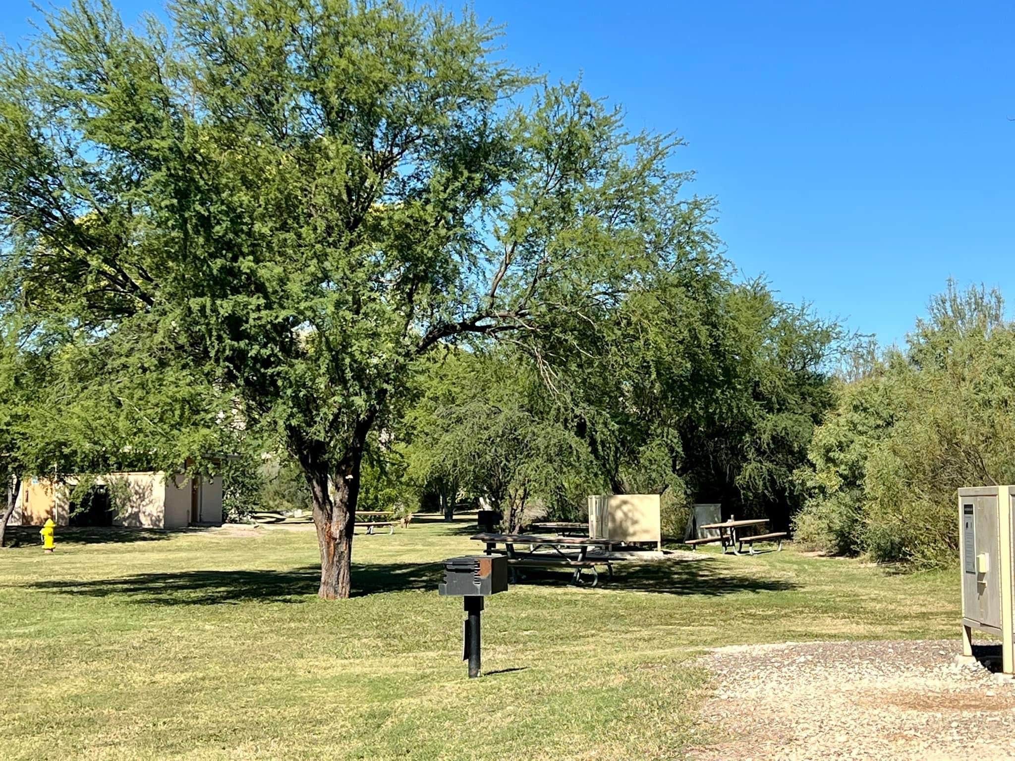 Camper submitted image from Rio Grande Village Group Campground — Big Bend National Park - 4