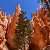 Review photo of North Campground — Bryce Canyon National Park by Carol J., May 4, 2022