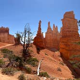 Review photo of North Campground — Bryce Canyon National Park by Carol J., May 4, 2022