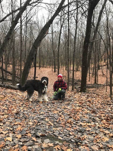 anne K.'s photo of camping with pets at Lake Maria State Park Campground near Monticello, MN