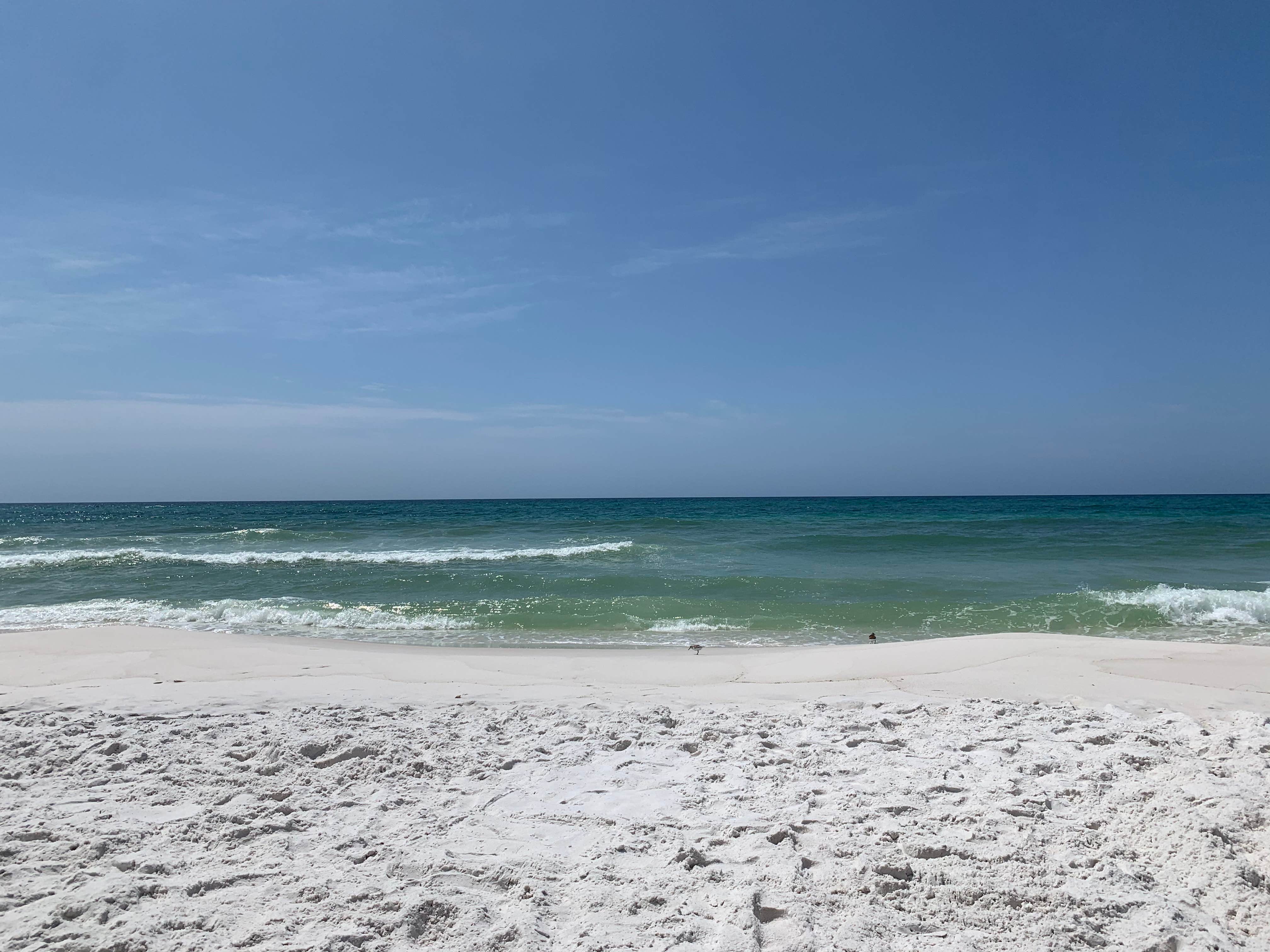 Camper-submitted photo at Sunny Days Finca near Elberta, AL