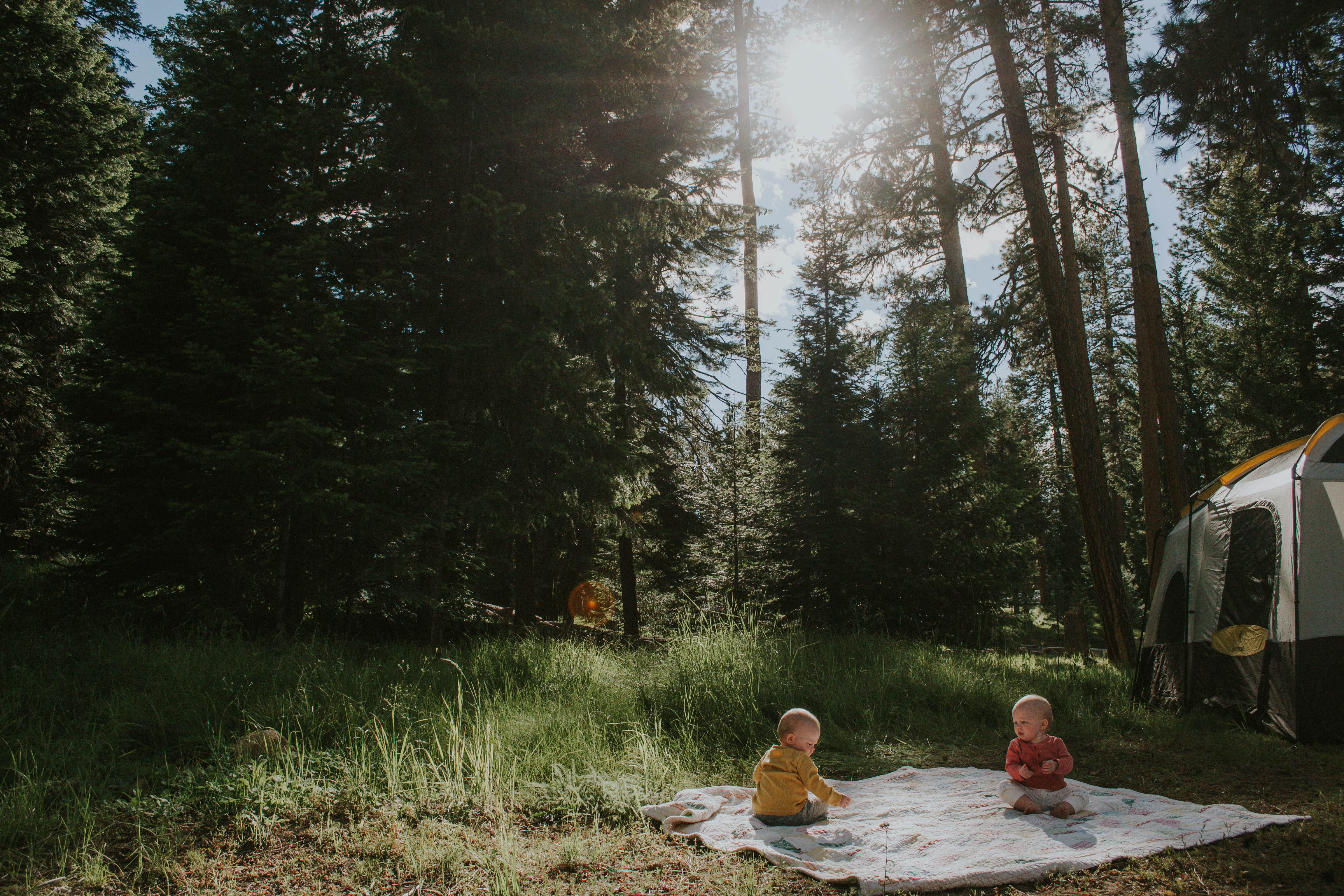 Camper submitted image from Walton Lake - 4