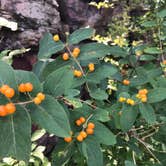 Review photo of Blue Mounds State Park Campground by anne K., May 4, 2022