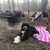 Review photo of Nerstrand Big Woods State Park Campground by anne K., May 4, 2022