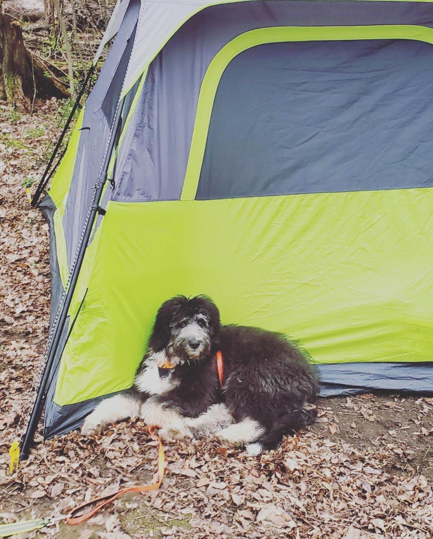 anne K.'s photo at Sakatah Lake State Park Campground in Minnesota