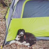 Review photo of Sakatah Lake State Park Campground by anne K., May 4, 2022