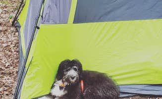 anne K.'s photo at Sakatah Lake State Park Campground near Faribault, MN