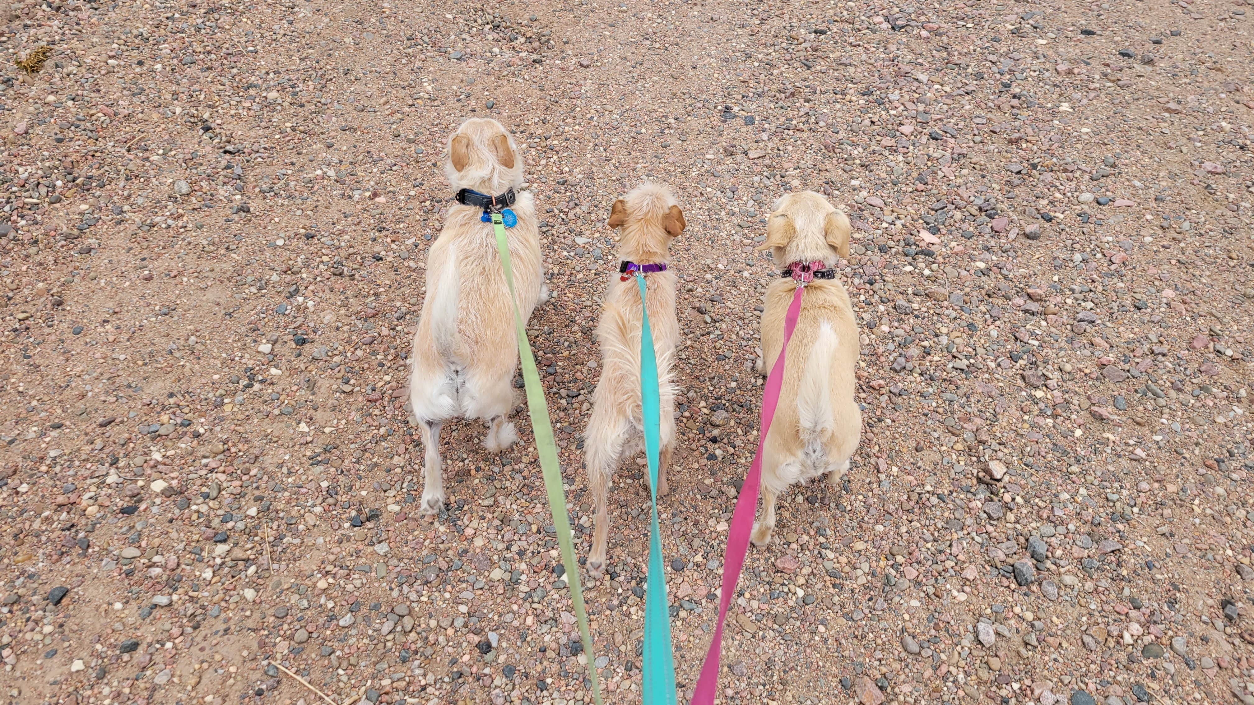 Camper-submitted photo at Haggards RV Campground near Wetmore, CO