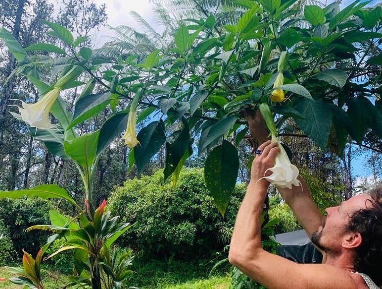 Camper-submitted photo at Mango 🥭 Hale near Hawaiian Paradise Park, HI