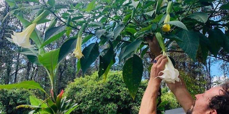 Camper submitted image from Mango 🥭 Hale