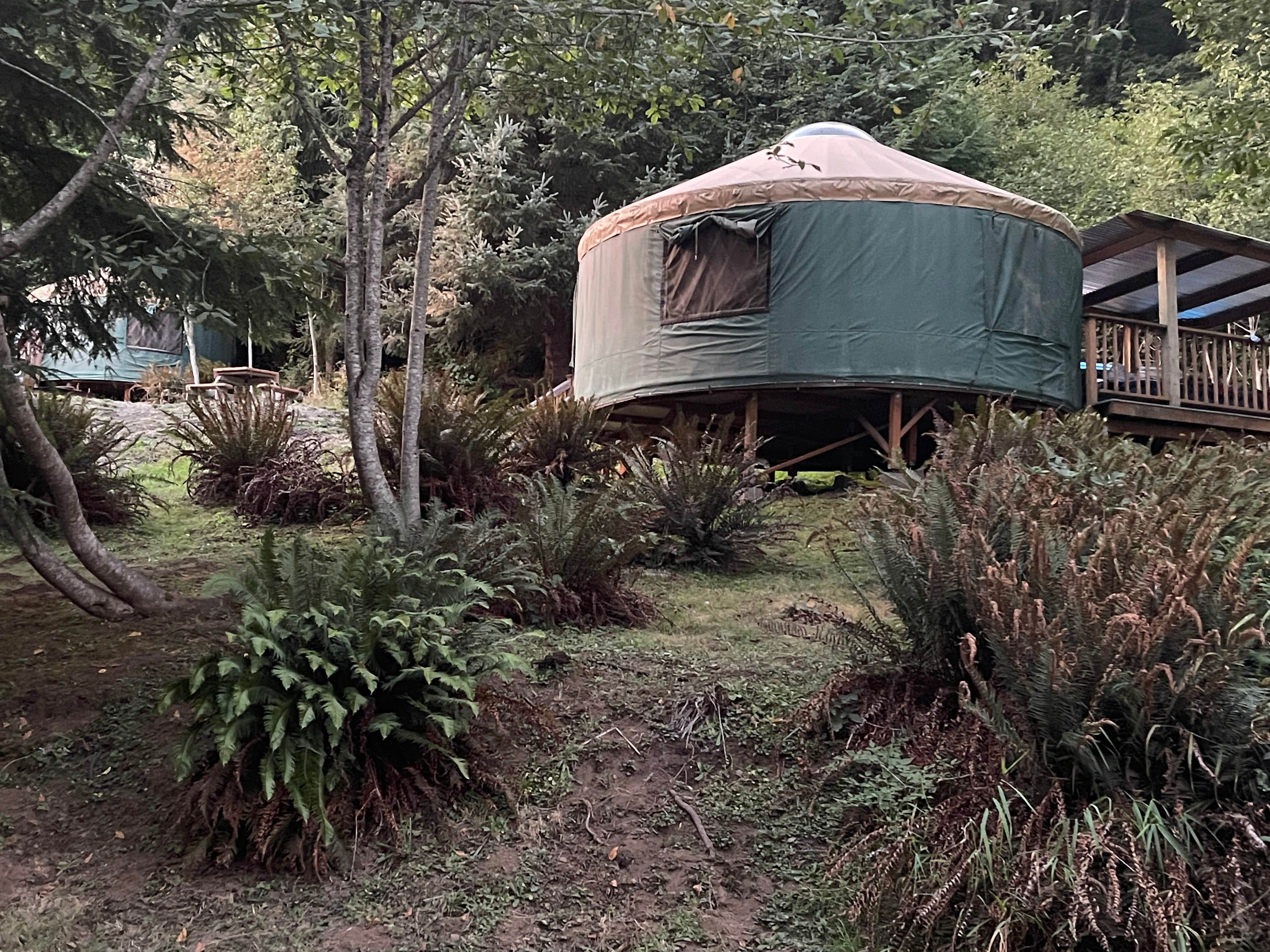 Lee D.&#x27;s photo at Skamokawa Vista Park in Washington