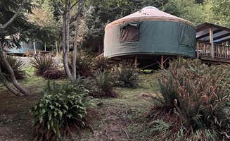 Lee D.'s photo at Skamokawa Vista Park in Washington