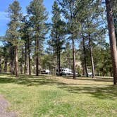 Review photo of Blue Bell Campground — Custer State Park by Tod S., May 5, 2022