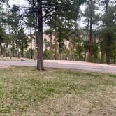 Review photo of Blue Bell Campground — Custer State Park by Tod S., May 5, 2022