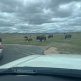 Review photo of Blue Bell Campground — Custer State Park by Tod S., May 5, 2022