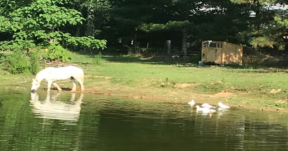 Point Mallard Campground photo 5