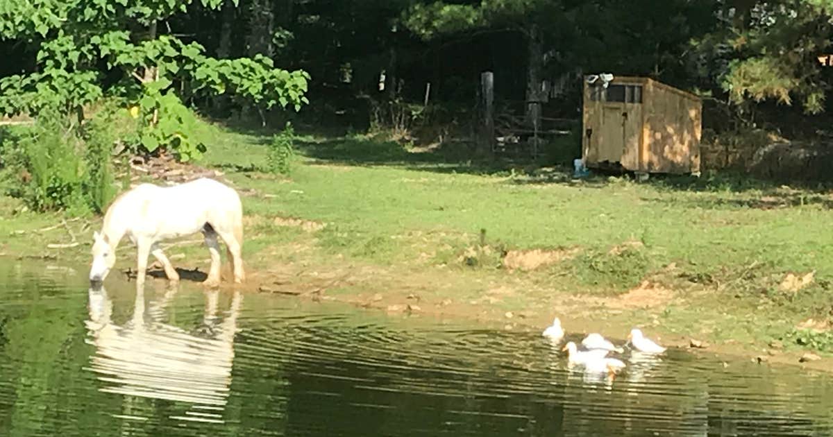 Point Mallard Campground photo 5