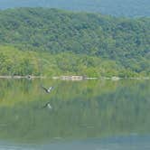 Review photo of Harpers Ferry Campground - River Riders by Maggie A., May 5, 2017