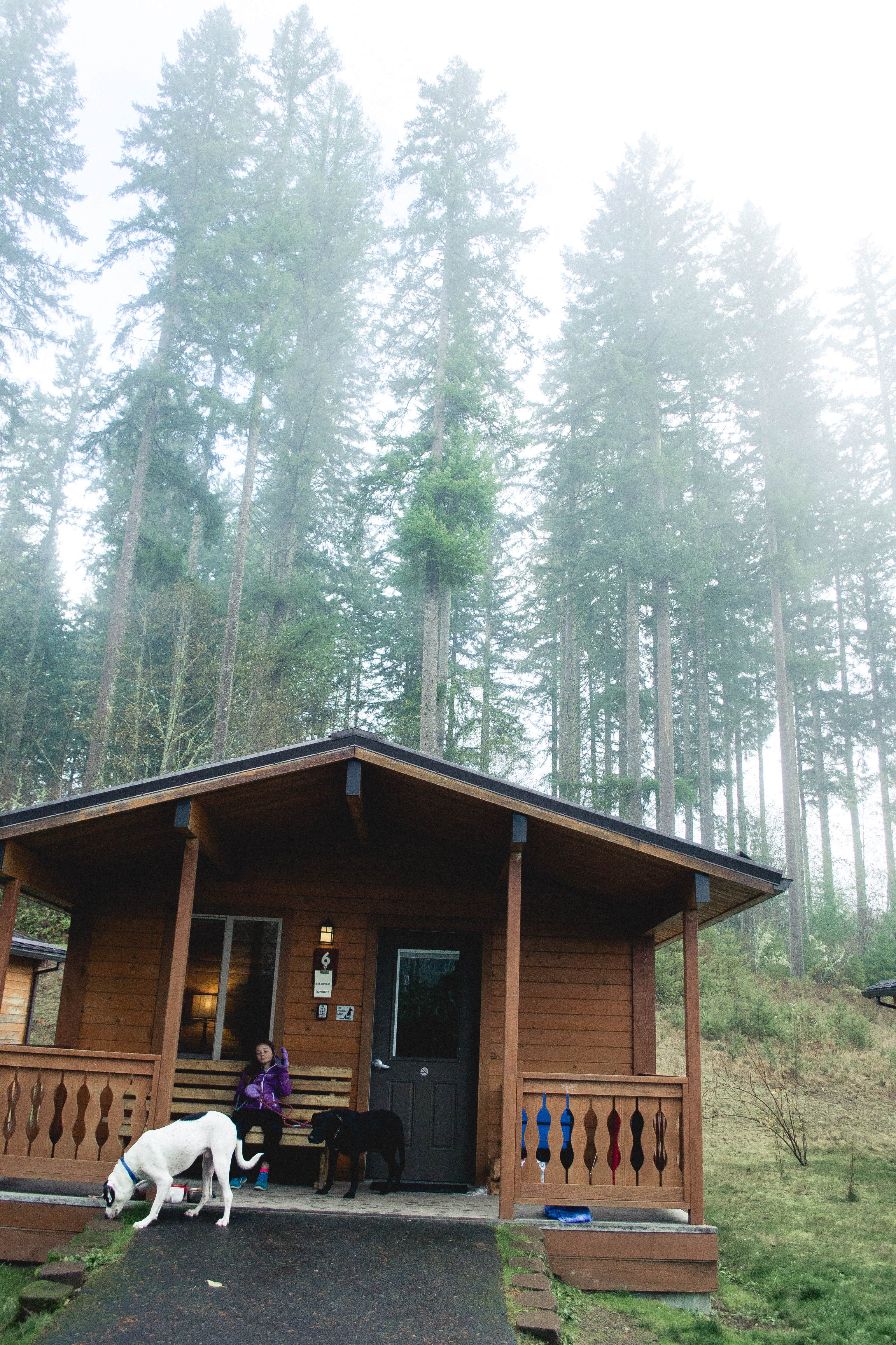 LAUREN B.'s photo of a cabin at Mountaindale Cabin Village — L.L. Stub Stewart Memorial State Park near Woodland, WA