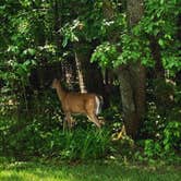 Review photo of Tuxbury Pond RV Campground by Mya W., May 5, 2022