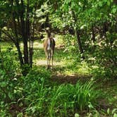 Review photo of Tuxbury Pond RV Campground by Mya W., May 5, 2022
