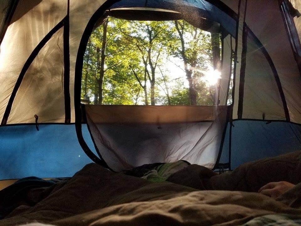 Maggie A.'s photo at Patapsco Valley State Park-Hilton Area in Maryland