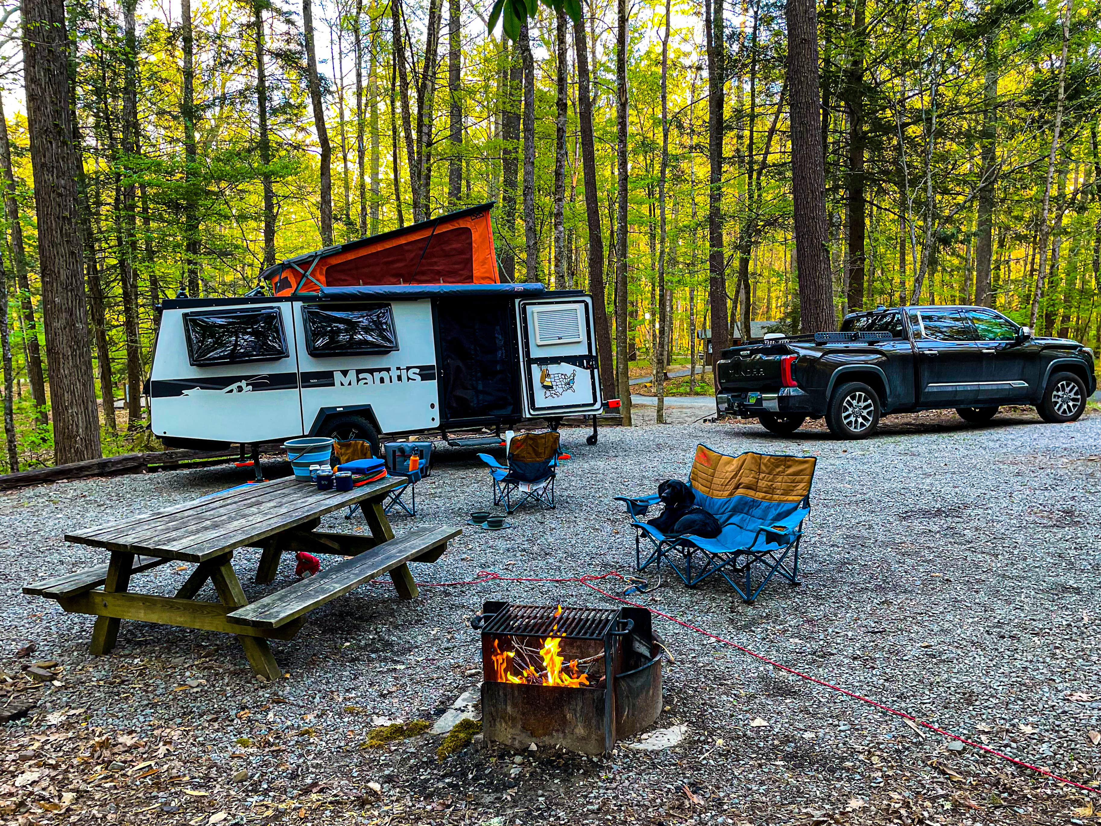 Camper submitted image from Greenbrier State Forest - 4