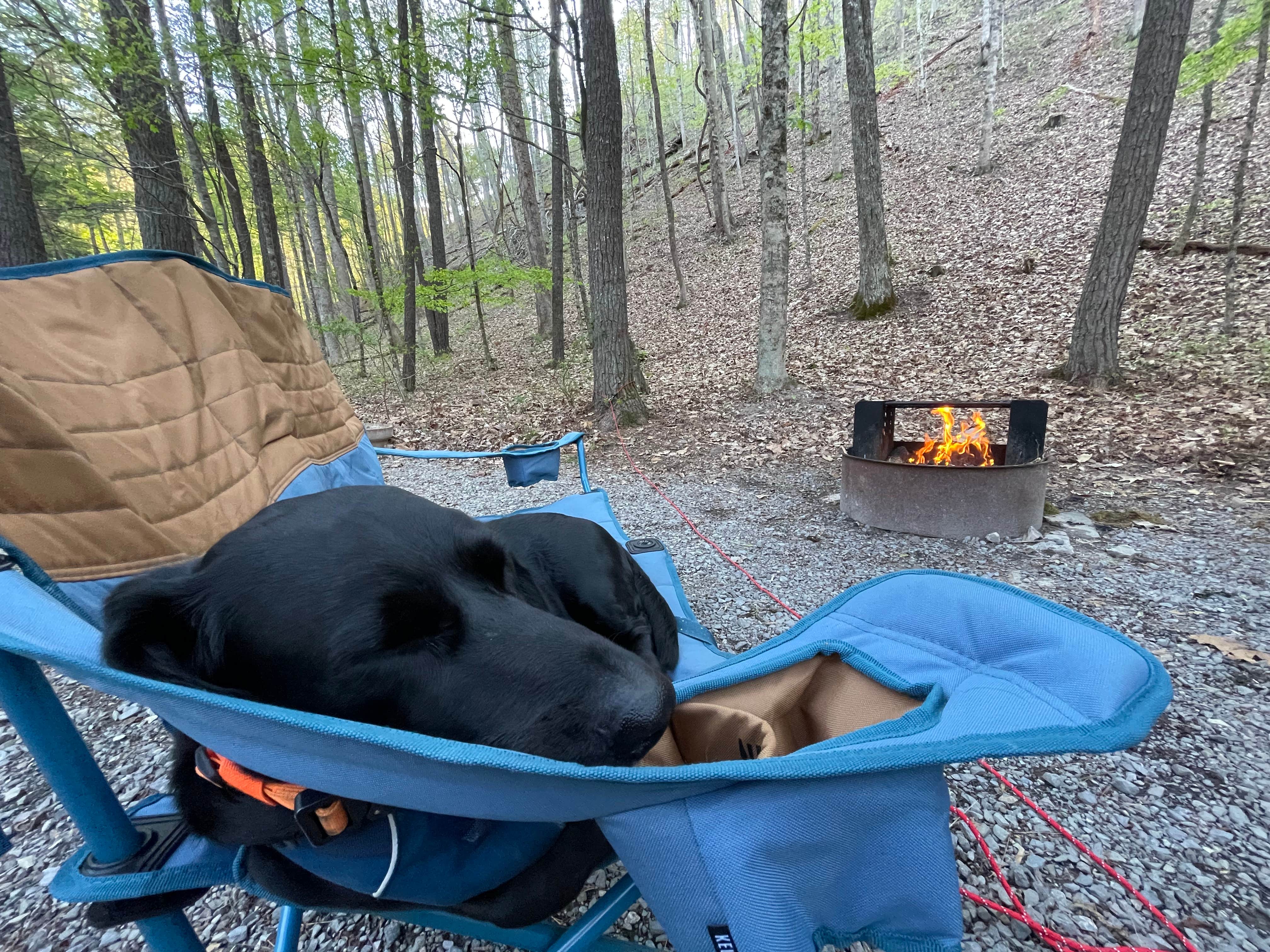Anthony I.'s photo at Greenbrier State Forest in West Virginia