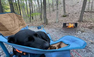 Anthony I.'s photo at Greenbrier State Forest in West Virginia