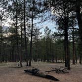 Review photo of Buffalo Creek Recreation Area by Matthew P., May 6, 2022