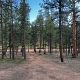Review photo of Buffalo Creek Recreation Area by Matthew P., May 6, 2022