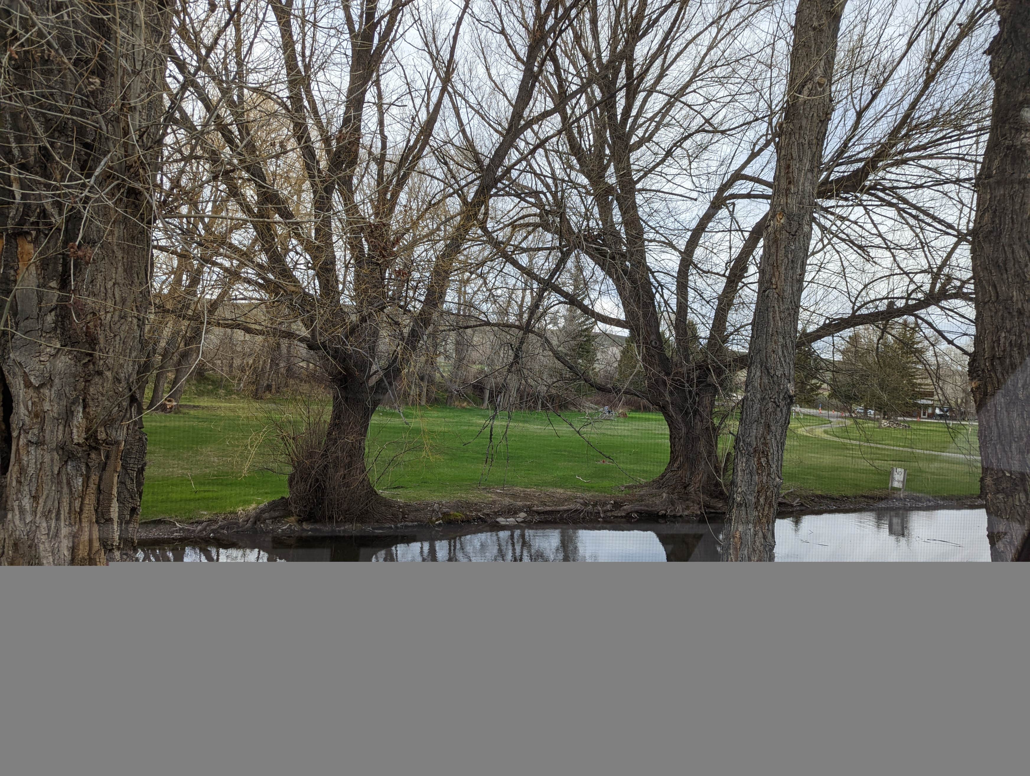 Spring Creek Campground & Trout Ranch Camping The Dyrt