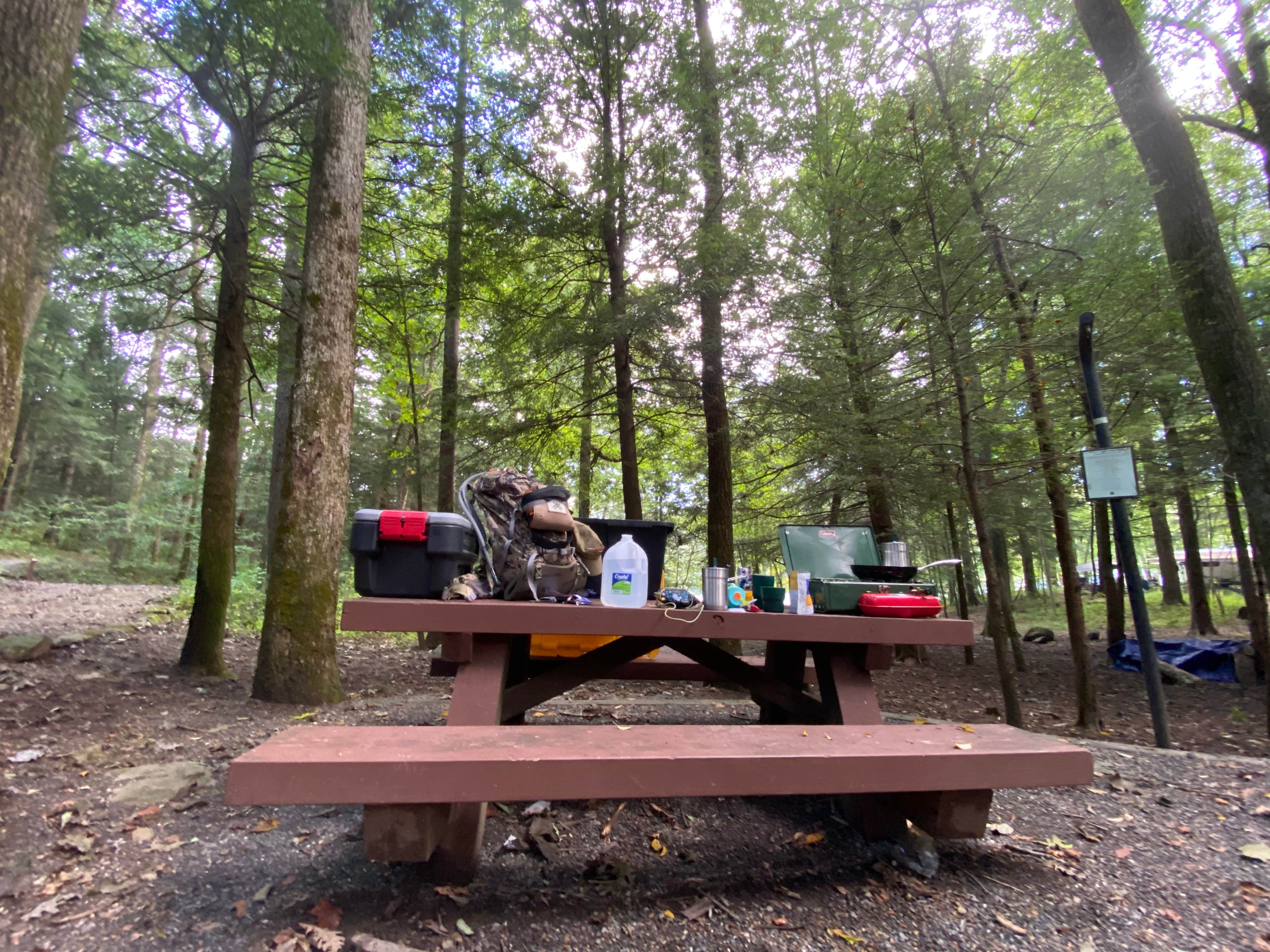 michelle J.'s photo at Lake Conasauga near Crandall, GA