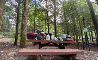 michelle J.'s photo at Lake Conasauga near Cisco, GA