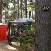 Review photo of Mount Desert Campground by Portia H., May 6, 2022