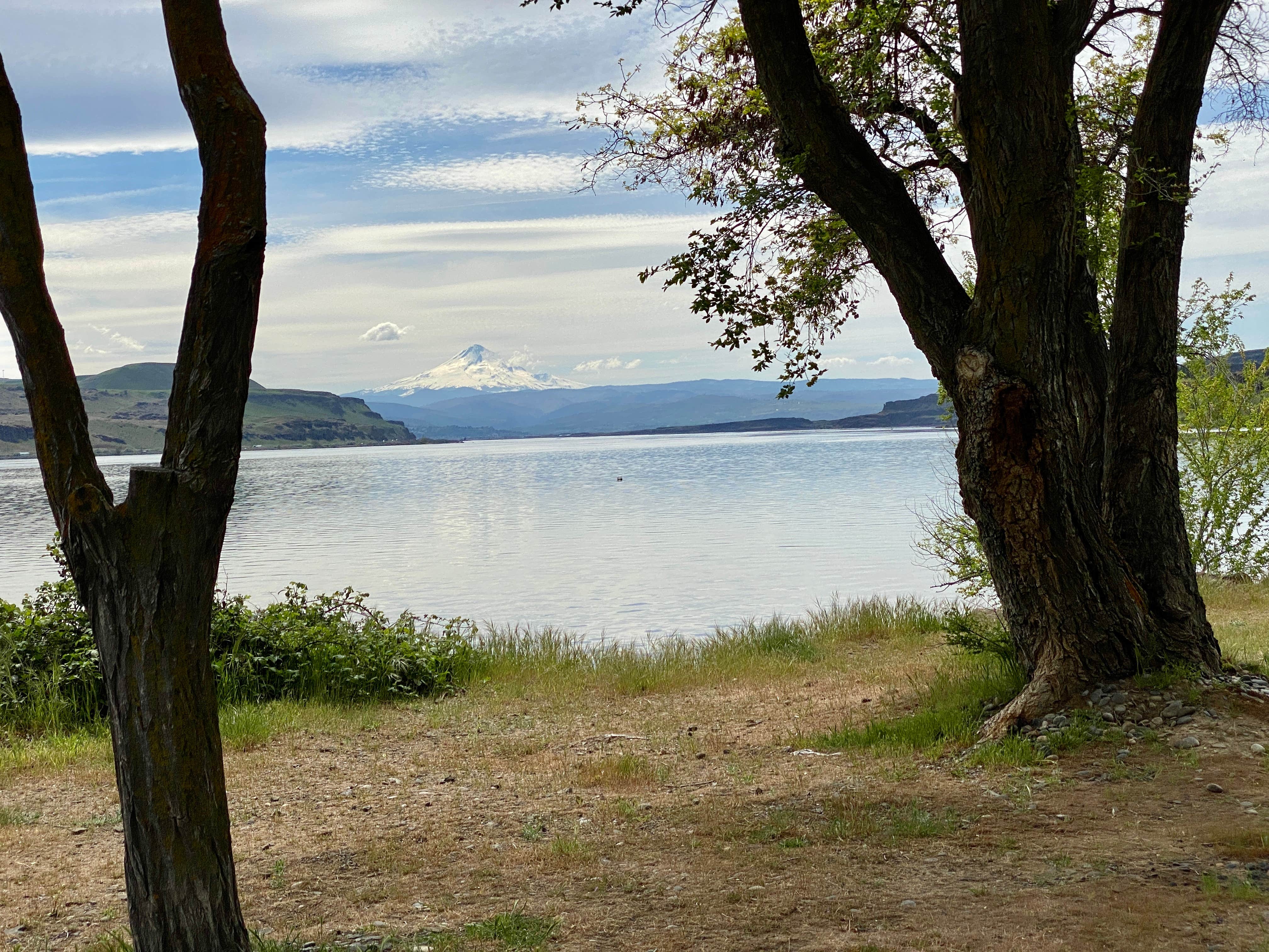 Camper-submitted photo at Avery Rec Area- Columbia River Gorge near Hood River, OR